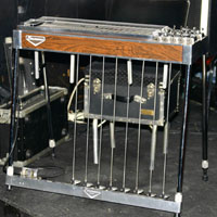 steel guitar